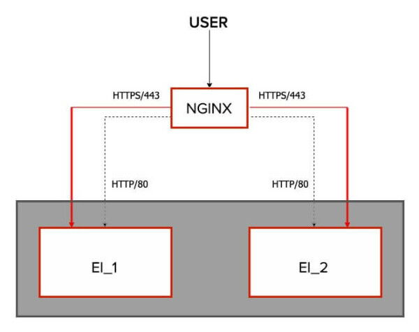 high-level picture of the NGINX and EI setup