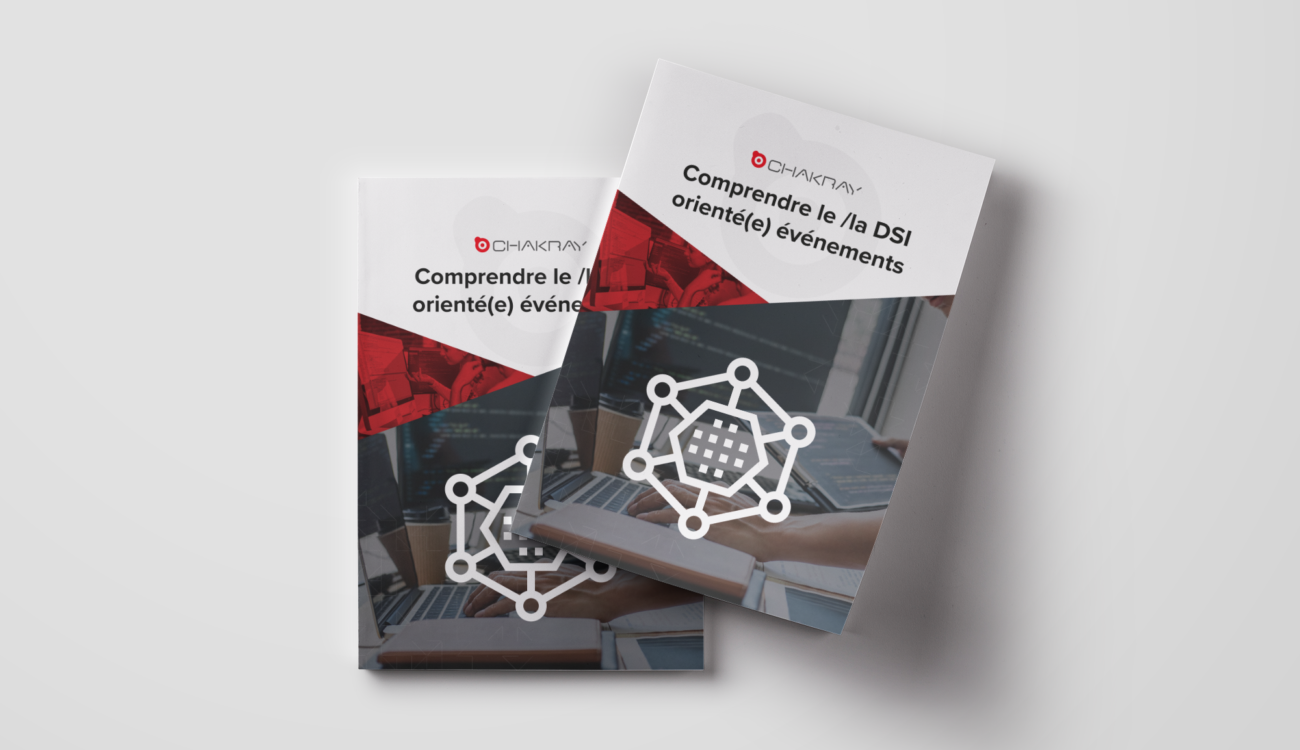 Comprendre le /la DSI orienté(e) événements ebook