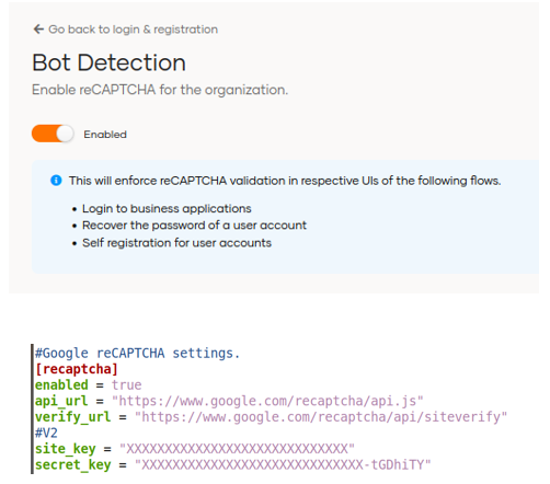 BOT Detection