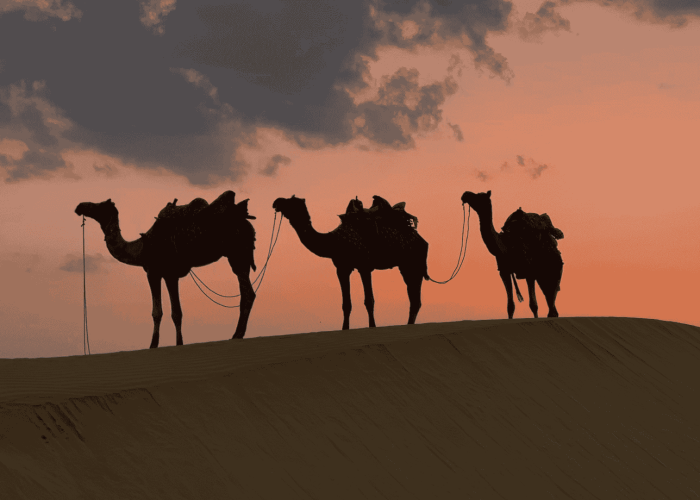 Apache Camel: Guía definitiva para integrar aplicaciones y microservicios
