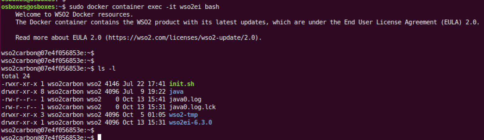java wso2