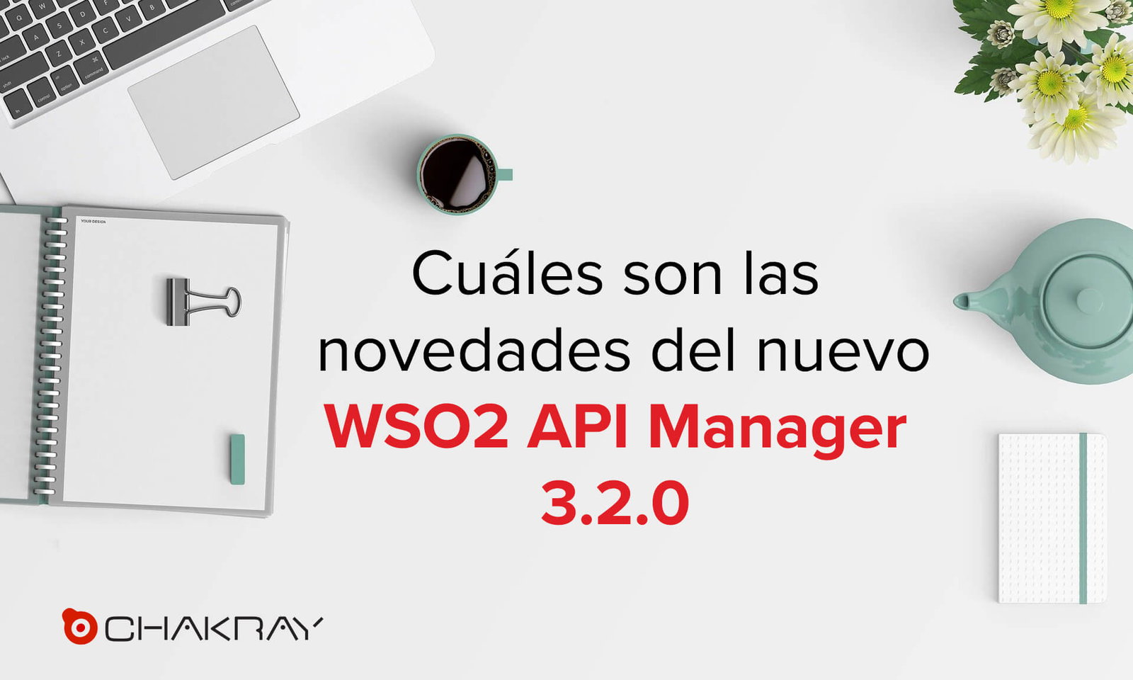 WSO2 API Manager 3.2.0: Novedades y Características