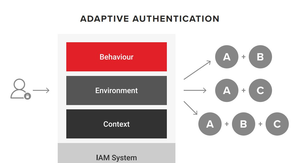 Adaptive Authentication