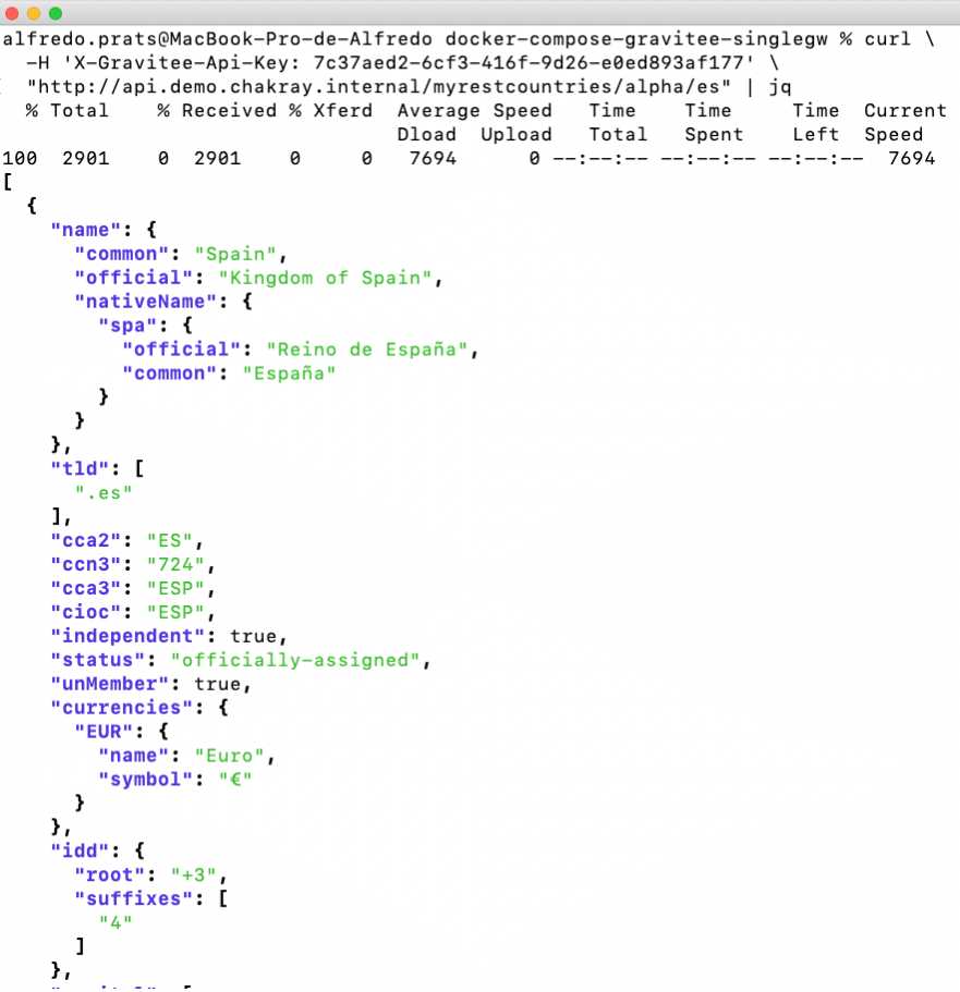 Consuming APIs using an API key