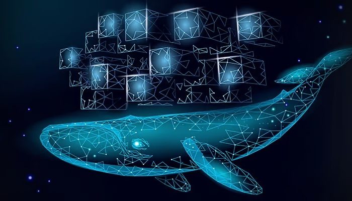 Representación abstracta del logotipo de Docker y hace referencia a su tecnología de empaquetado de aplicaciones en contenedores.