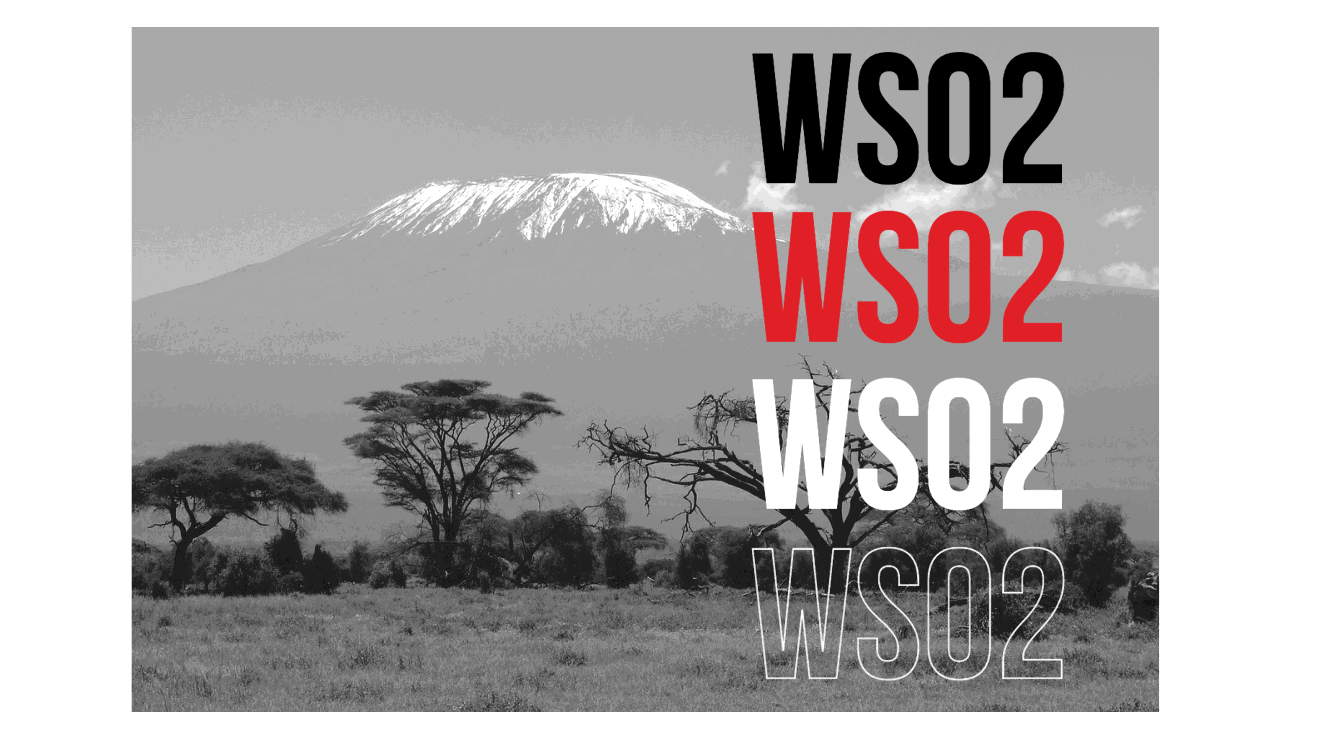 WSO2 Partner in Tanzania