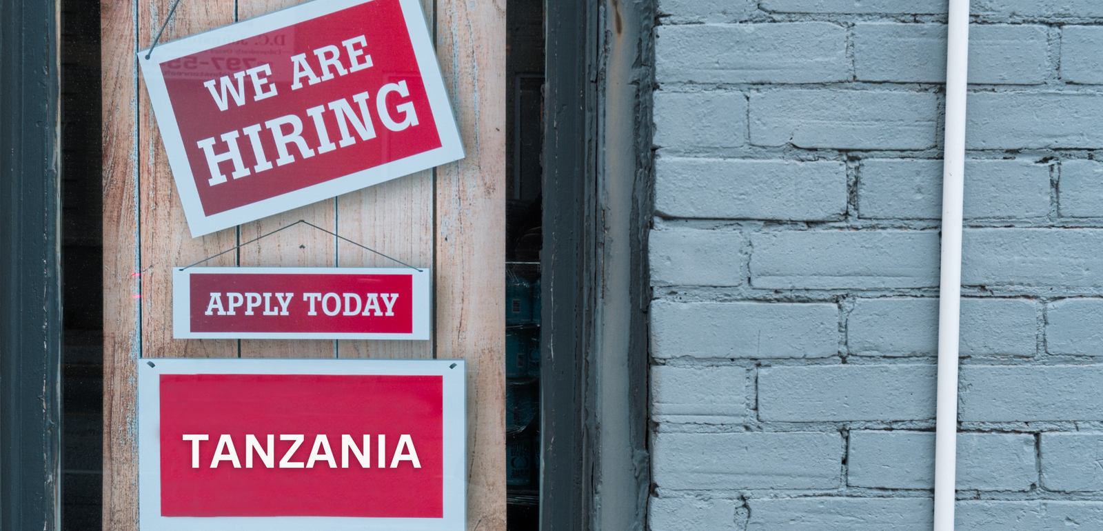 Tanzania hiring