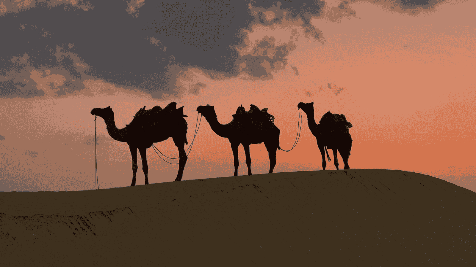 Apache Camel: Guía definitiva para integrar aplicaciones y microservicios